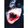LEUS GREAT WHITE TOWEL (EX)